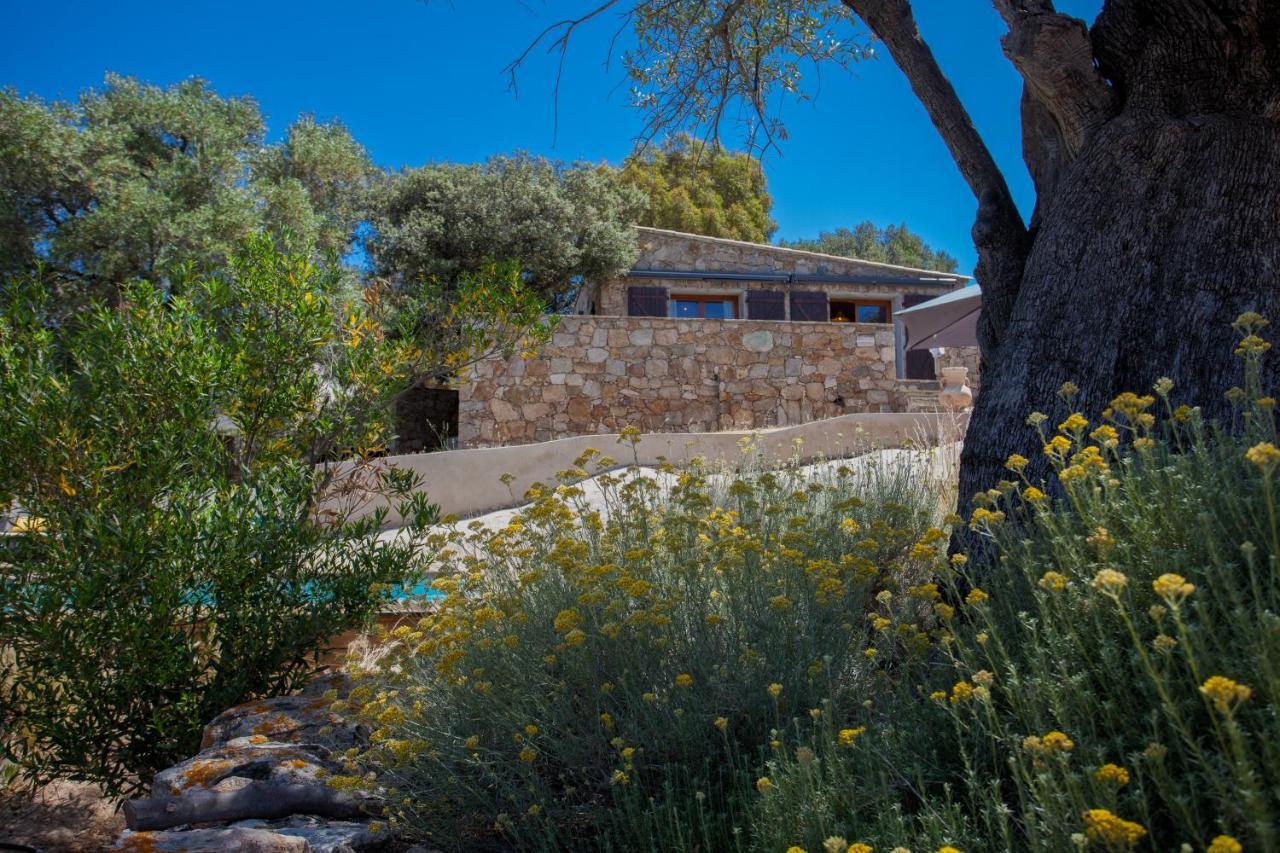 Villa Bodri, Maison En Pierre Avec Vue Mer Et Piscine Chauffee LʼÎle-Rousse Kültér fotó